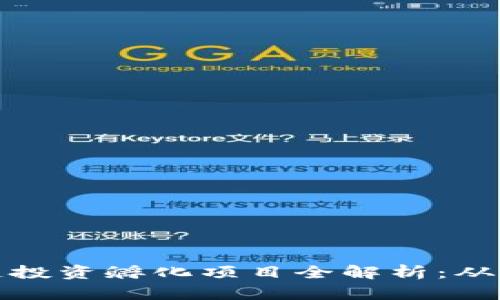 タイトル: 区块链投资孵化项目全解析：从初创到成功的秘诀
