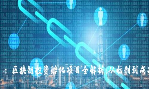 タイトル: 区块链投资孵化项目全解析：从初创到成功的秘诀