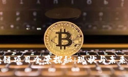 阳泉区块链项目全景探秘：现状与未来发展趋势
