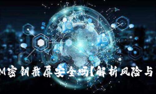 TokenIM密钥截屏安全吗?解析风险与防范措施