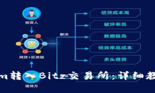 如何将Tokenim转入Bitz交易所：详细教程与实用技巧