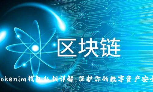 Tokenim钱包私钥详解:保护你的数字资产安全