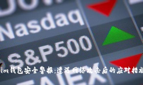 Tokentokenim钱包安全警报:遭遇网络攻击后的应对措施与防护策略