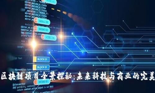 杭州区块链项目全景探秘:未来科技与商业的完美交融