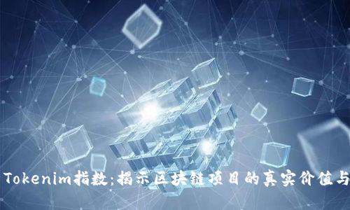 深入解析Tokenim指数：揭示区块链项目的真实价值与投资潜力
