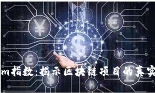 深入解析Tokenim指数：揭示区块链项目的真实价值与投资潜力