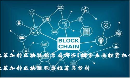 政策加持区块链股票有哪些？探索未来投资机会

政策加持区块链股票推荐与分析