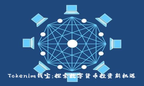 Tokenim钱宝:探索数字货币投资新机遇