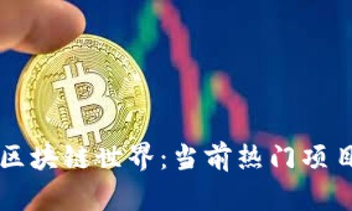 全面解析区块链世界：当前热门项目及其应用