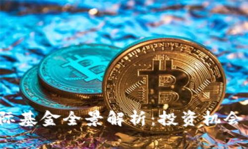  区块链国际基金全景解析：投资机会与风险分析