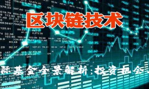  区块链国际基金全景解析：投资机会与风险分析