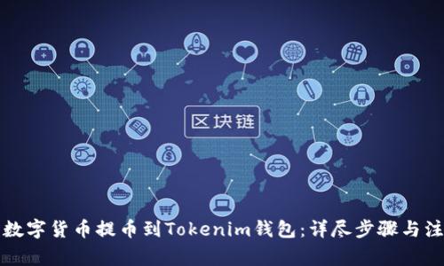 如何将数字货币提币到Tokenim钱包：详尽步骤与注意事项