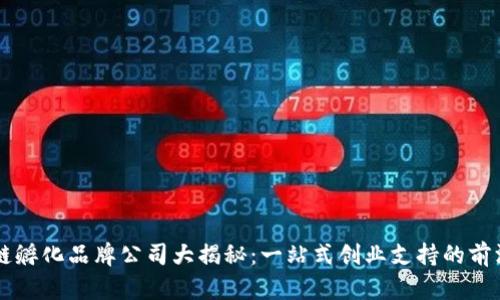 区块链孵化品牌公司大揭秘：一站式创业支持的前沿力量