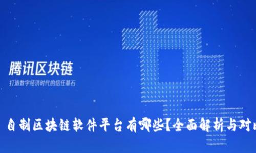 : 自制区块链软件平台有哪些？全面解析与对比
