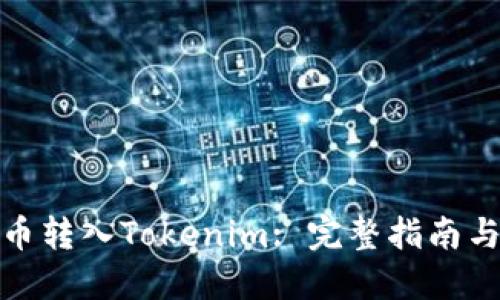 如何将屎币转入Tokenim: 完整指南与实用建议