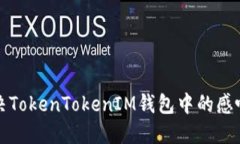 如何解决TokenTokenIM钱包中