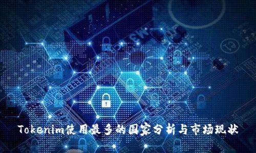 Tokenim使用最多的国家分析与市场现状