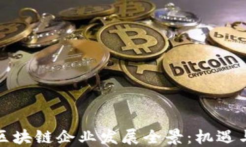 
娄底区块链企业发展全景：机遇与挑战